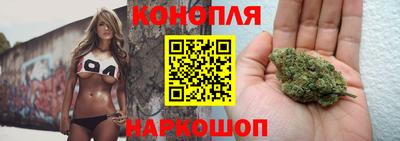 jwh Нальчик